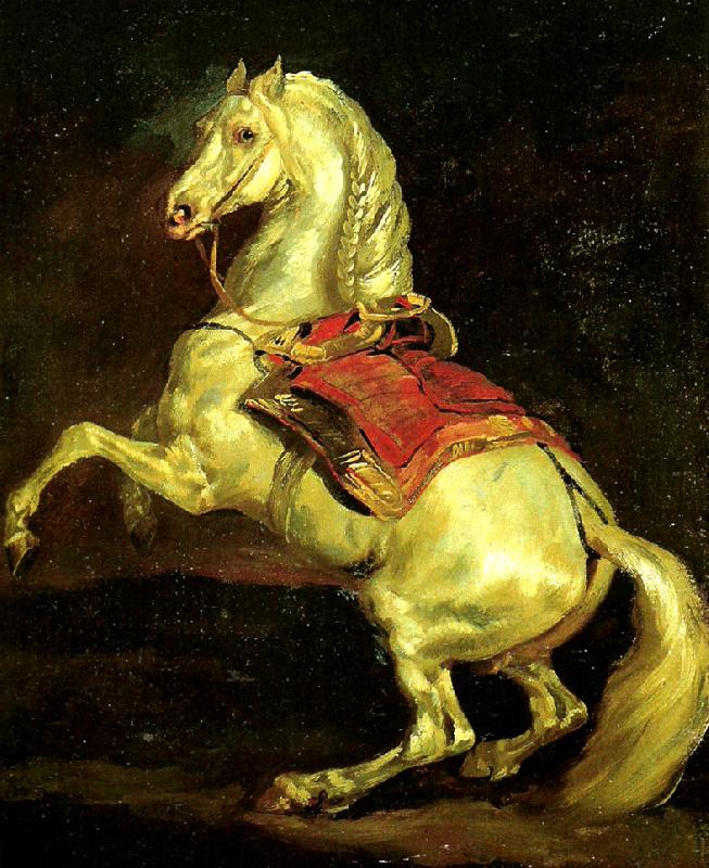 Theodore   Gericault cheval cabre, dit tamerlan oil painting image